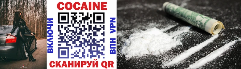 Купить закладки  Лесозаводск  COCAIN Эквадор 