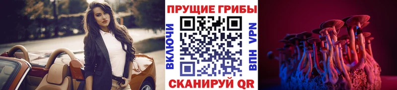 Псилоцибиновые грибы прущие грибы Купить Лесозаводск